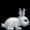 Создать мем: темнота, бешеные кролики, анимированный кролик