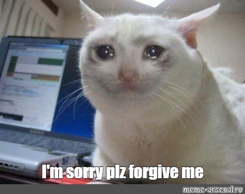 Create meme: crying cat, the cat meme is sad, sad cat from the meme