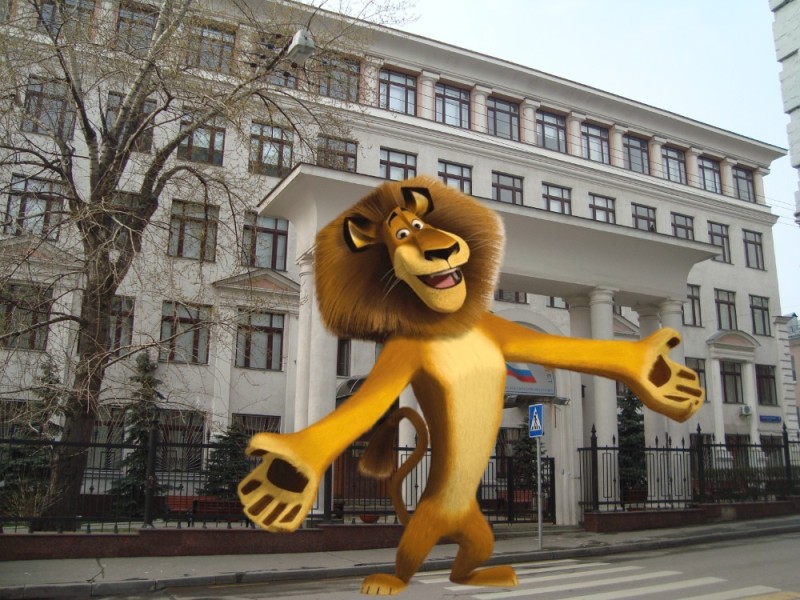 Create meme: finance university under the government of the Russian Federation maly zlatoustinsky, financial University under the Government of the Russian Federation, Madagascar lion