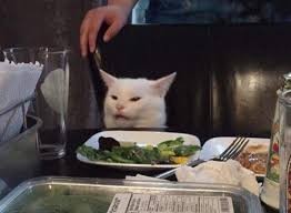 Create meme: cat, cats at the table, cats