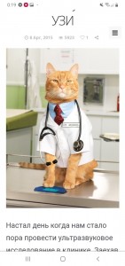 Создать мем: с днем студента ветеринара, доктор кот, доктор котик