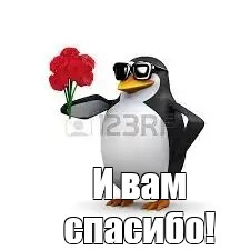 Создать мем: пингвин, мем пингвин с телефоном, пингвин с цветами