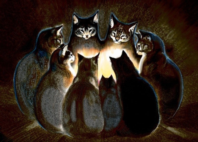 Создать мем: кошка, котовасия рисунки, art cat