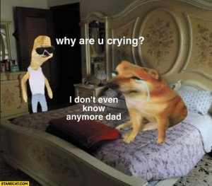 Create meme: doge, doge is crying, sad doge