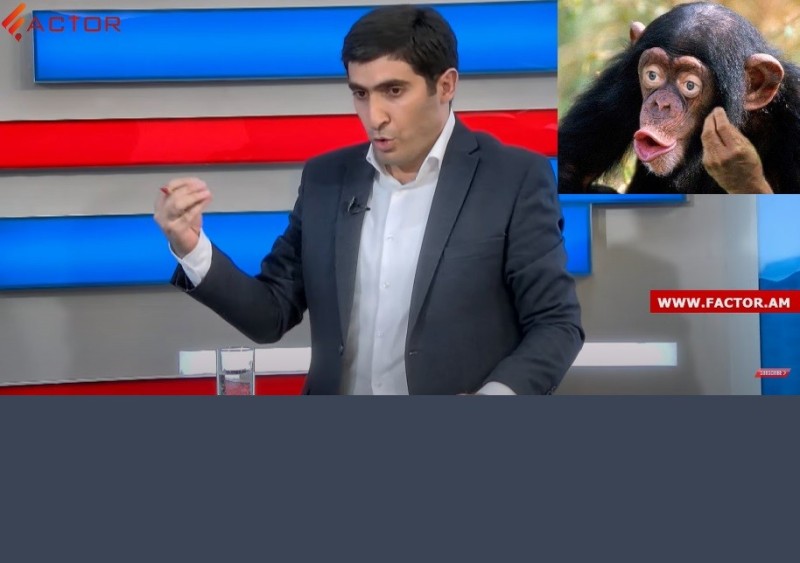 Create meme: chimpanzees , funny photos of monkeys, meme monkey 