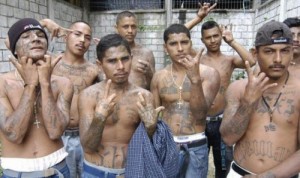 Создать мем: immigrants, brutal gang sucked, numbers банда