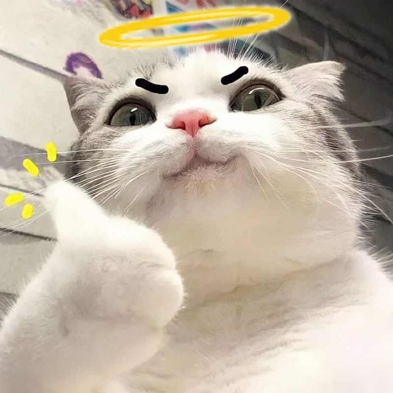 Create meme: happy cat, white cat meme, the cat meme is happy
