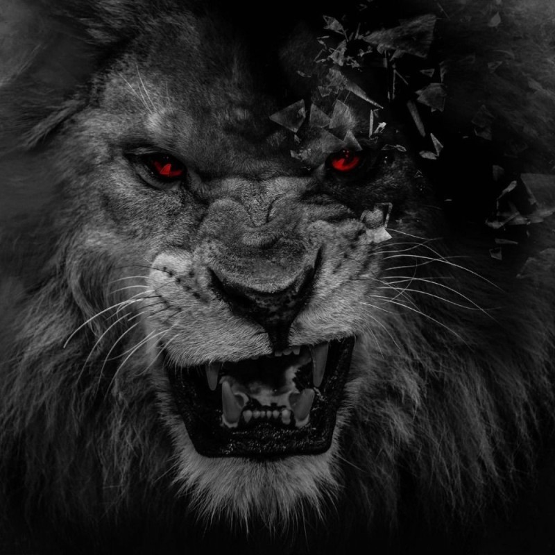 Create meme: angry lions, the ferocious lion, Leo grin