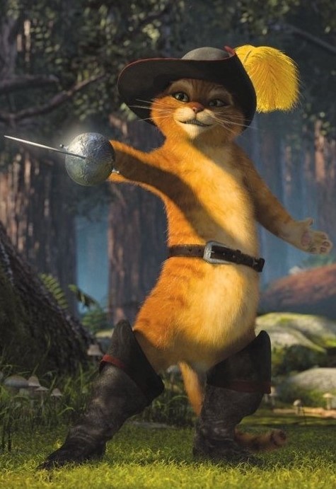 Create meme: Puss in Boots Shrek 2, puss in boots with a sword, puss in boots from Shrek