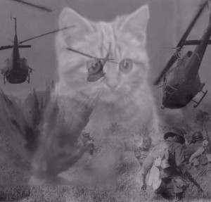 Create meme: cat Vietnam flashback, flashbacks Vietnam, Vietnam flashback cat
