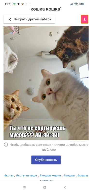 Create meme: natasha cats, memes cat, cat meme