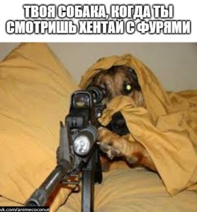 Создать мем: собака, Собака, пёс с оружием