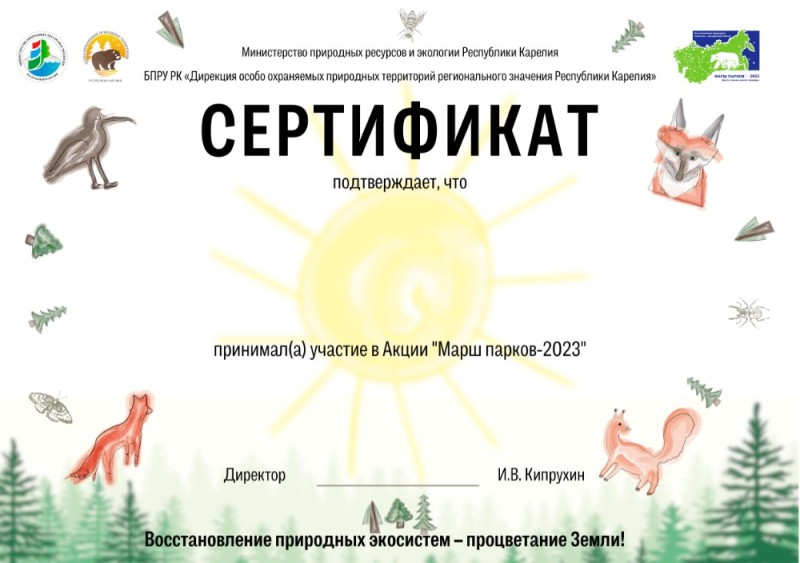 Создать мем: сертификат за участие, сертификат участника, сертификат русский медвежонок