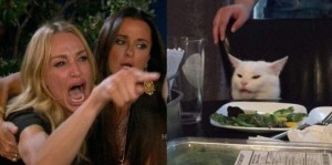 Создать мем: crying woman and cat meme, смешные коты, кот за столом мем