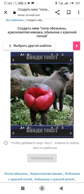 Create meme: monkey with red ass, butt monkey, monkeys with red butts