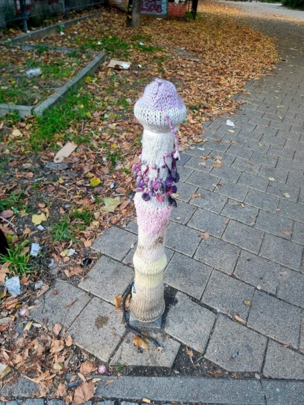 Create meme: mushroom umbrella mottled, mushroom veselka ordinary, mushroom Veselka