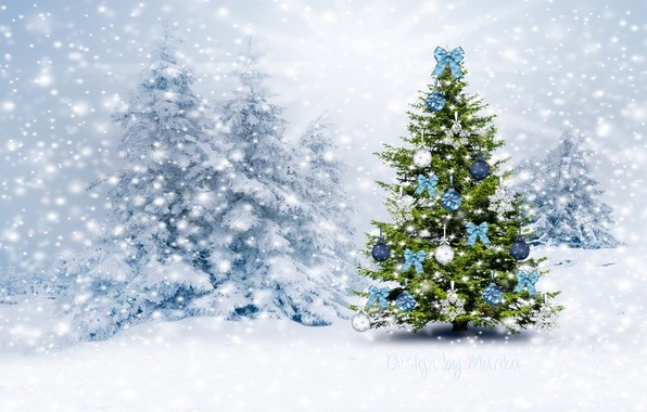 Создать мем: елочка открытка, зимний фон, елка красивая