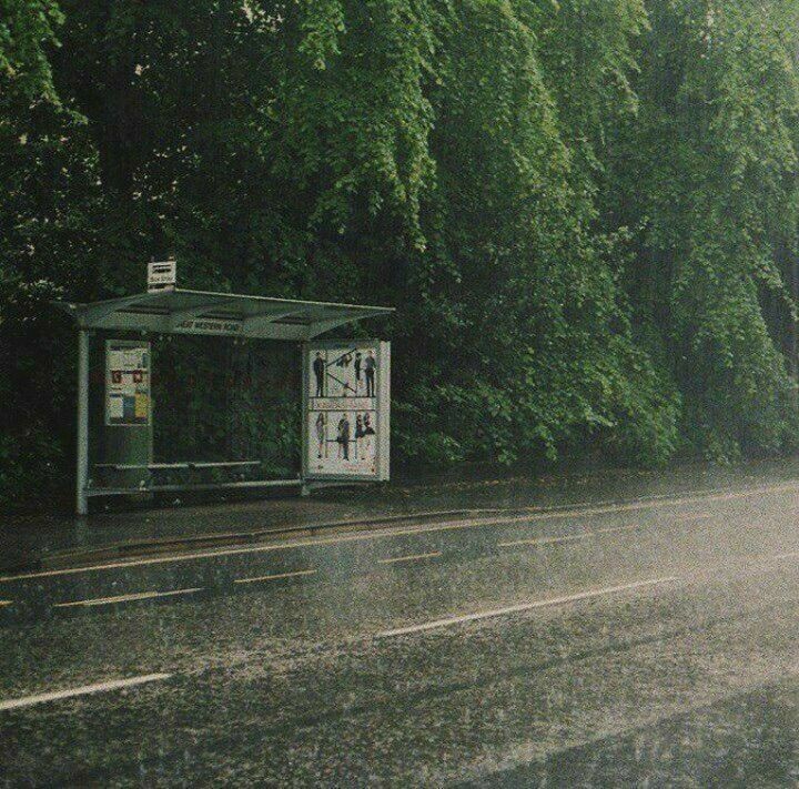 Создать мем: автобусная остановка, здание, земля после дождя