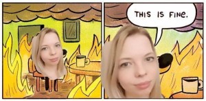 Create meme: this is fine, meme dog in a burning house, woman