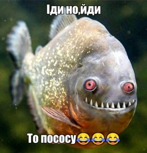 Create meme: piranha, fish or amphibians, the piranha fish