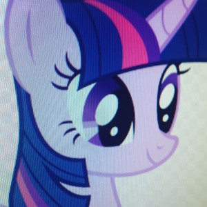Create meme: twilight sparkle, twilight sparkle meme, napkins pony