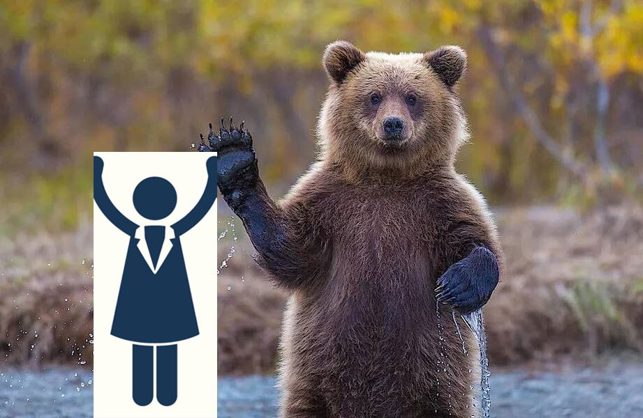 Create meme: siberian bear, bear bear, brown bear 