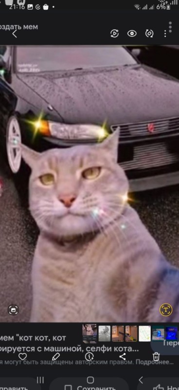 Create meme: cat selfie with bmw, selfie of a cat on the background of a car, a cat takes a picture with a car