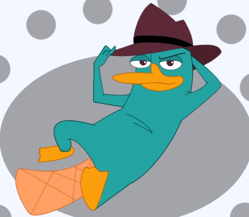 Create meme: perry 's platypus, platypus perry platypus, Phineas and ferb