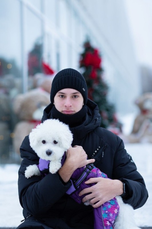 Create meme: Samoyed husky, Bichon Frise, bichon frise puppy