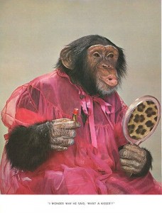 Создать мем: обезьяна шимпанзе, обезьяна звонит, обезьяна в берете