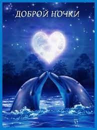 Create meme: Dolphin love, dolphins are beautiful, a pair of dolphins