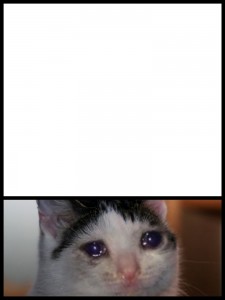Создать мем: плачущий кот, плачущие коты мемы, кот плачет