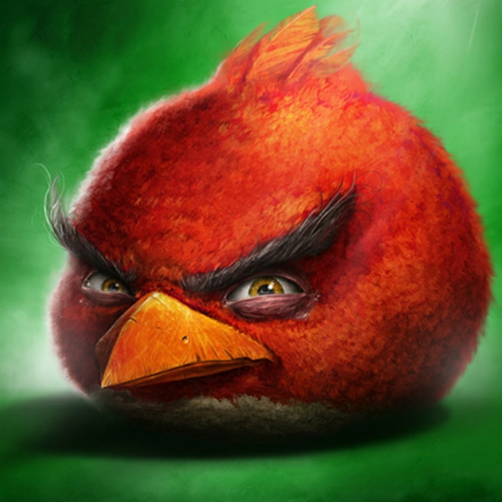 Создать мем: птичка энгри бердз красная, энгри бердз красный злой, злая птица из энгри бердз