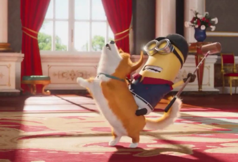 Create meme: minions cartoon 2015 corgi, corgi of minions, minions 2015 corgi