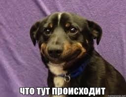 Создать мем: собака не понимает мем, такса мем, собака