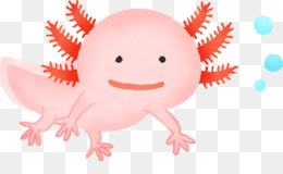 Create meme: the axolotl