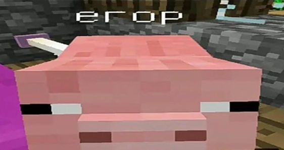 Create meme: this is Egor's room, pig in minecraft, a pig in minecraft