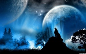 Создать мем: волк и луна, воющий волк, волк в ночи