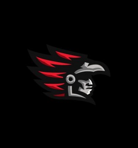 Создать мем: hawk лого, шаблон для лого команды, ястреб эмблема