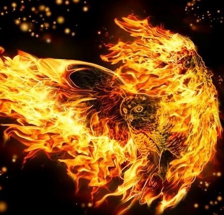 Create meme: phoenix bird, Firebird, fire hawk