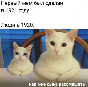 Создать мем: мемы с котами, популярные мемы, Кошка