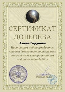 Создать мем: свидетельство долбаеба, сертификат долбаёба, сертификат далбаева