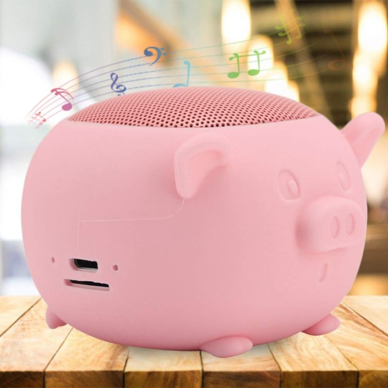 Create meme: the speaker is portable, bluetooth speaker bron ern-bts9-pig, bluetooth speaker 