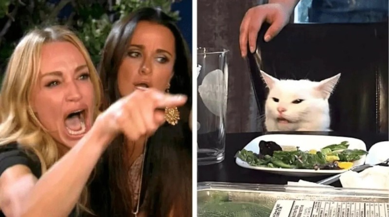 Создать мем: мемы с женщинами и котом, мемы с котом и девушками, мем с котом за столом