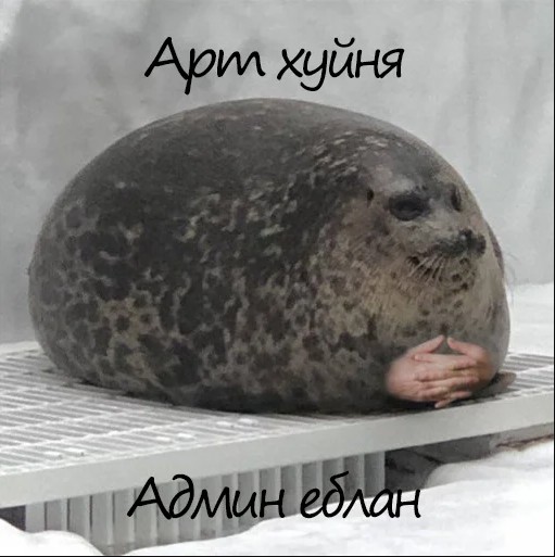 Create meme: thick seal, seal yuki, seal 