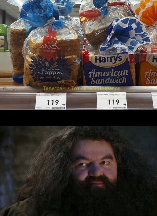 Create meme: hagrid the actor, Hagrid you're a wizard Harry, Hagrid from Harry