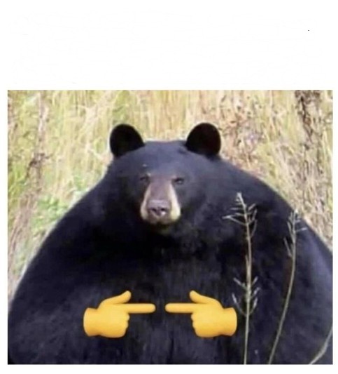 Create meme: fat bear, bear with fingers, american black bear