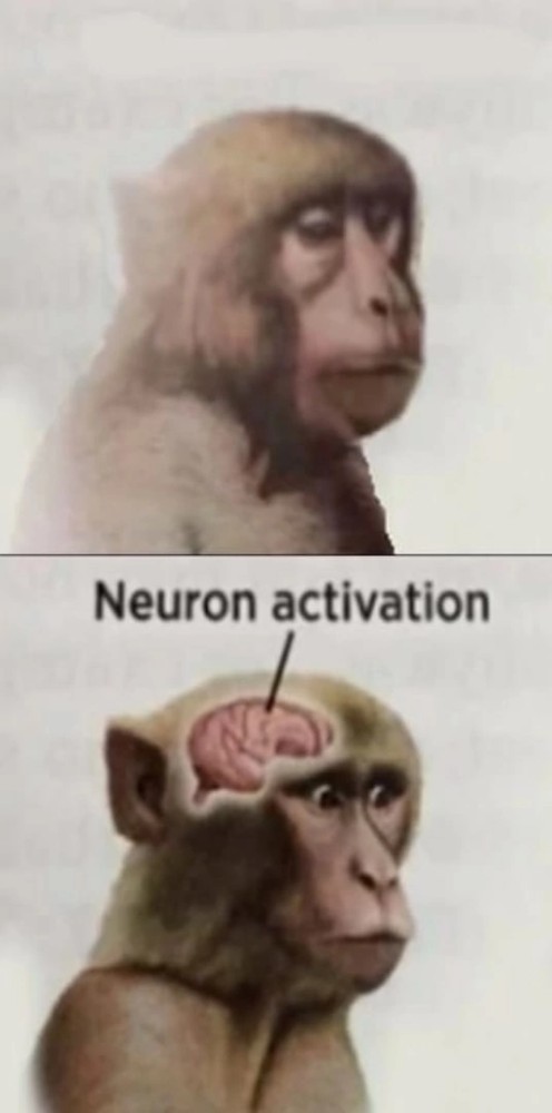 Monkey Neuron Activation Meme Template