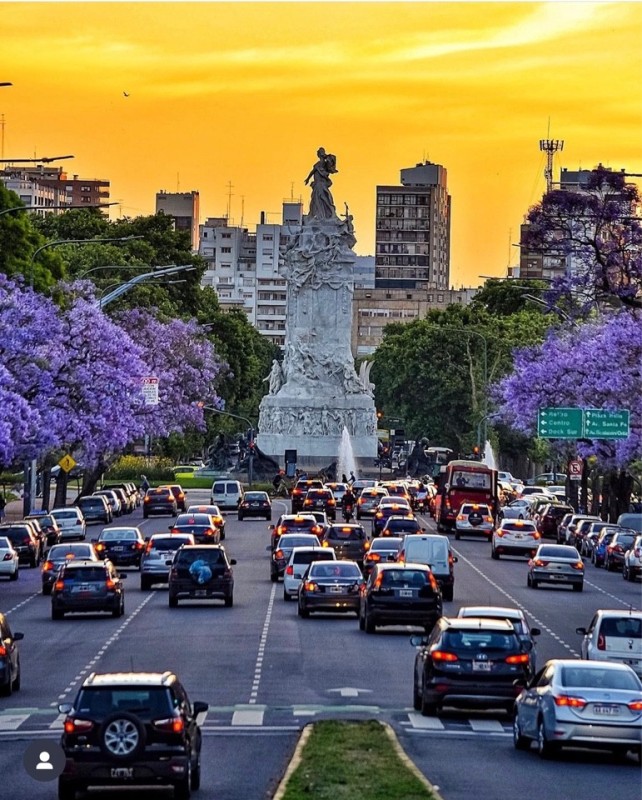 Create meme: monument, Argentina jacaranda blossom, Buenos aires jacaranda
