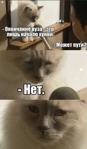 Создать мем: коты мемы, грустные коты, грустный кот мем